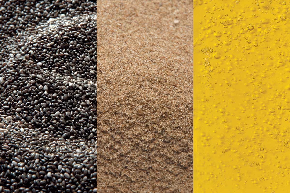 THE SIGNIFICANT HEALTH BENEFITS ASSOCIATED WITH CHIA SEED CONSUMPTION